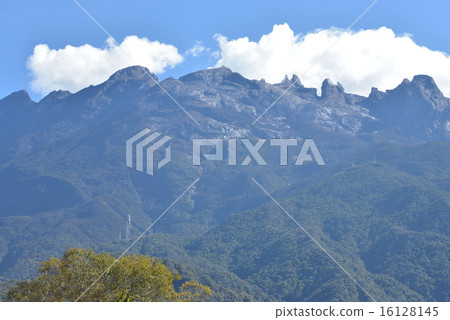 Kinabalu 16128145