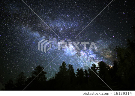 Milky Way Galaxy rising over Alpine Forest Milky Way Galaxy rising over Alpine Forest 16129314