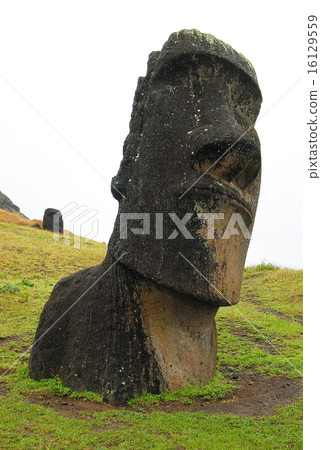 智利復活節島Rano Lalak Moai 16129559