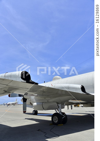 P3 - C. P3 - C. 16129869