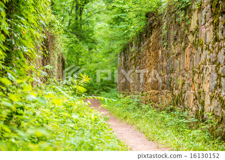 scenes around landsford canal state park  16130152