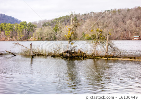 pee dee and yadkin river   16130449