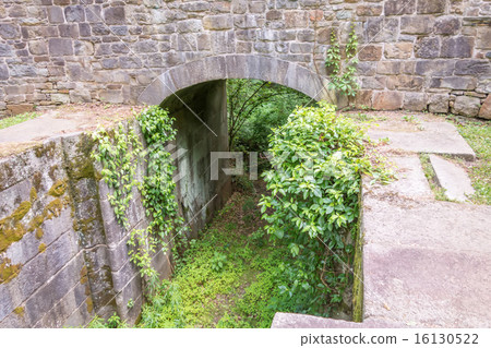 scenes around landsford canal state park  16130522