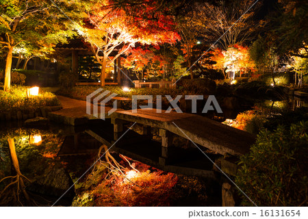 Autumn leaves lit up Autumn leaves lit up 16131654