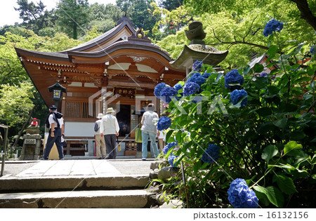 Takahata Fudosato(Daishodo) Takahata Fudosato(Daishodo) 16132156