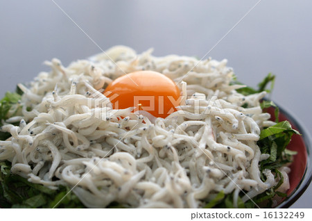 Shirasu Shirasu 16132249