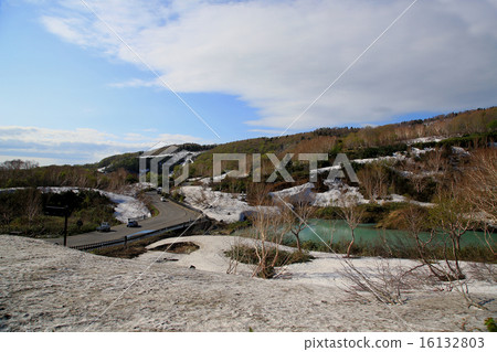 八甲田山東北新鮮綠色 16132803