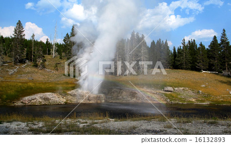 Yellowstone National Park Riverside Geyser Geyser's steam jetting beautiful rainbow at the moment Yellowstone National Park Riverside Geyser Geyser's steam jetting beautiful rainbow at the moment 16132893