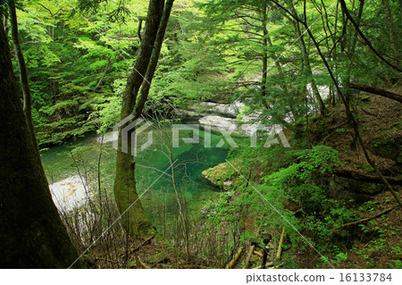 Mitaraki Valley New Green Nara Tenkawa Village Mitaraki Valley New Green Nara Tenkawa Village 16133784