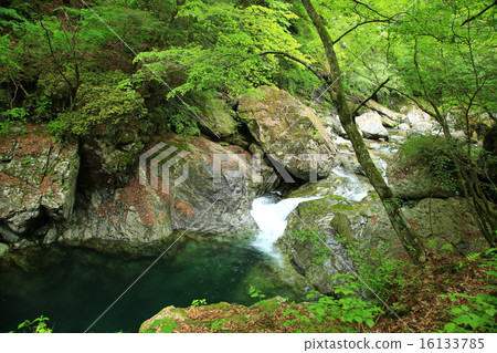 Mitaraki Valley New Green Nara Tenkawa Village 16133785