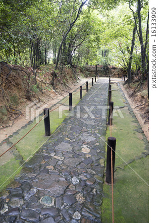 雨後的Eikichi Shrine雨 16133909