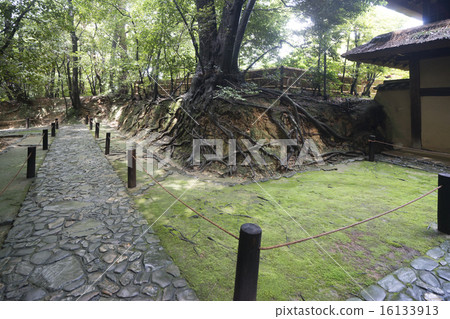 Eikichi Shrine rain after the rain 16133913