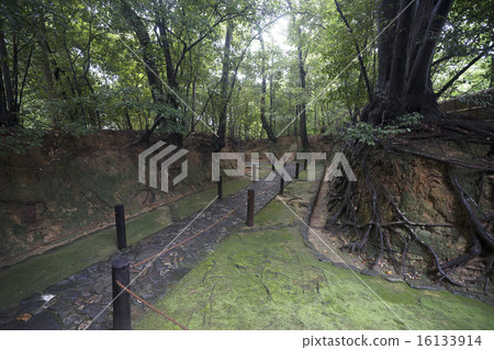 雨後的Eikichi Shrine雨 雨後的Eikichi Shrine雨 16133914