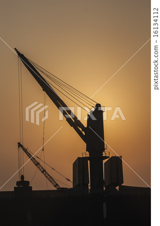 Silhouette cranes at sunrise in Chennai India 16134112