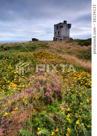 Ruins of Old Castle in Crookhaven Ruins of Old Castle in Crookhaven 16134133