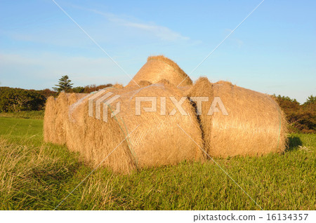 Sōya Hills 16134357