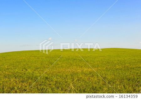 Sōya Hills Sōya Hills 16134359