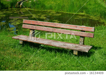 Old wooden seat bench in the garden 16134409