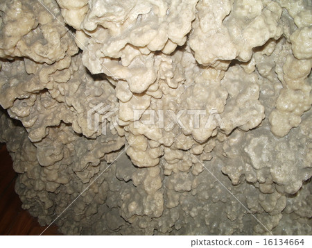 鐘乳石 鐘乳石 16134664