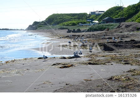 Sandy beach 16135326