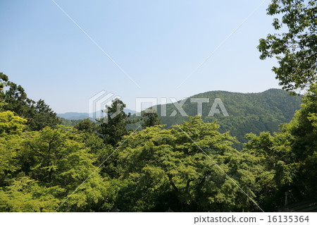 Mountains of Kurama horse Mountains of Kurama horse 16135364