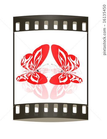 beauty butterflies. The film strip beauty butterflies. The film strip 16135450