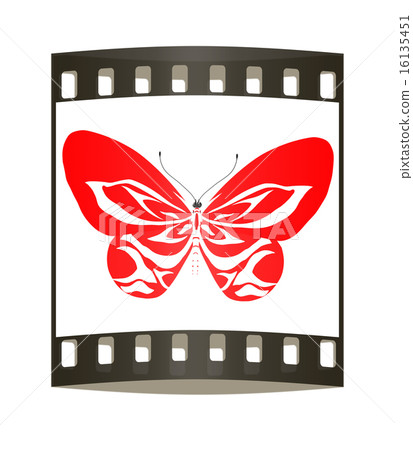 beauty butterfly. The film strip 16135451