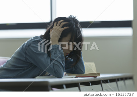 University student University student 16135727