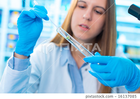 Research of growth of green plants 16137085