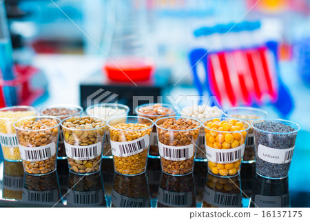 agricultural grains and legumes in the laboratory 16137175