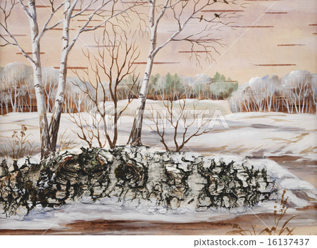 Winter Siberian landscape 16137437