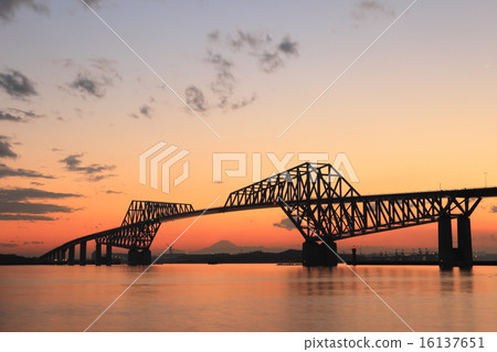 Tokyo Gate Bridge Night view 16137651