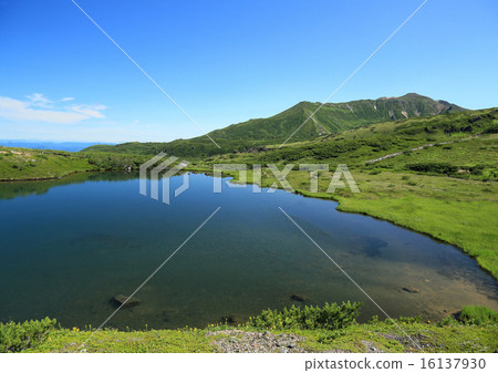 北海道Daisetsuyama Asahidake 北海道Daisetsuyama Asahidake 16137930