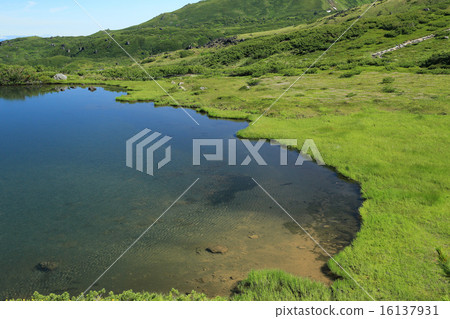 北海道Daisetsuyama Asahidake 北海道Daisetsuyama Asahidake 16137931