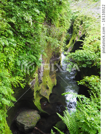 複雜而美妙 16138022