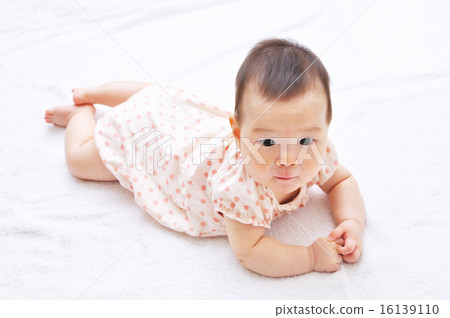 6 months old baby 16139110