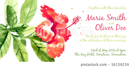 Vector background with red watercolor hibiscus 16139239