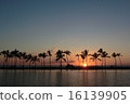 Hawaii Island Sunset 16139905