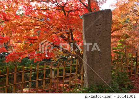 Autumn leaves of Okuboji 16141301
