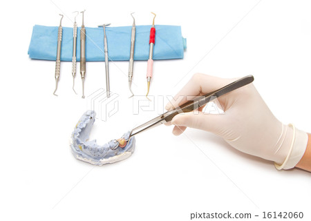 Dental prosthesis on gypsum model plaster Dental prosthesis on gypsum model plaster 16142060