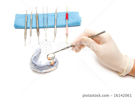 Dental prosthesis on gypsum model plaster Dental prosthesis on gypsum model plaster 16142061