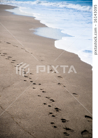 The footprint of the beach Shonan's sea 16143095