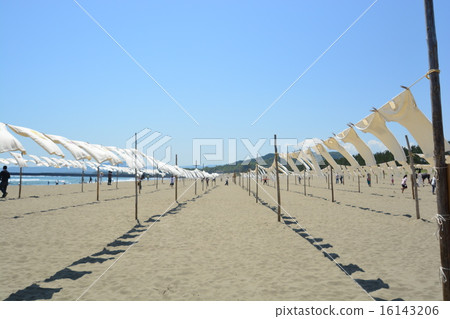 T卹藝術展 16143206