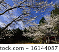 Shrine and blue sky 16144087