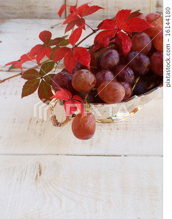 bunch of grapes with vine on white background 16144180