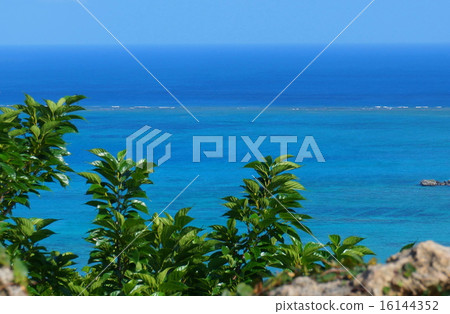 沖繩南部·知念海 沖繩南部·知念海 16144352