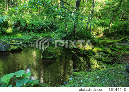 Hokkaido Daisetsu Asahidake source water Hokkaido Daisetsu Asahidake source water 16144948