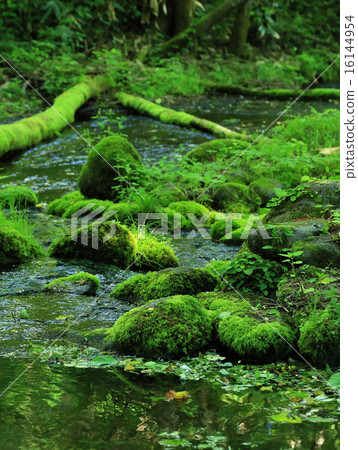 Hokkaido Daisetsu Asahidake source water Hokkaido Daisetsu Asahidake source water 16144954