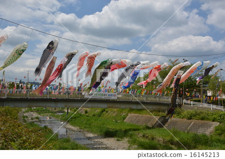 Fureai Fureai Dorado Festival八王子市 Fureai Fureai Dorado Festival八王子市 16145213