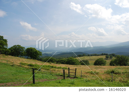Tsumagoi no meadow Tsumagoi no meadow 16146020